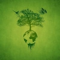 | Earth Tree | MR Online