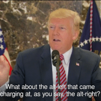 Trump trying to go after alt-left