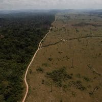 ‘Brazil has lost control over its natural resources because it has lost its sovereignty’ Photo credit: Al Jazeera