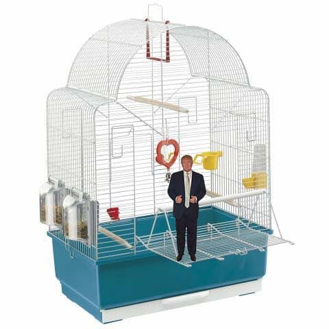 | A Lil Orange President a product of trumPets® first name in Trump survival products stands on his cage door | SUSIE DAY | MR Online