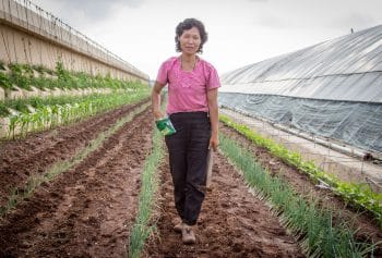 Female worker at a North Korean farm