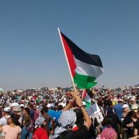 Siege and resistance in Gaza: an interview with Toufic Haddad