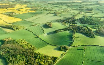 | Enclosure turned common land into private property and Marx argued helped England move from feudalism to capitalism Cristian Teichner shutterstock | MR Online