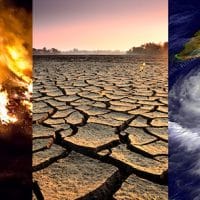 | Effects | Facts Climate Change Vital Signs of the Planet | MR Online