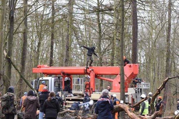 Pressenza - Hambacher Forst- Jetzt erst recht! â Aufruf zum deutschlandweiten Aktionstag am 03. Februar pressenza.com