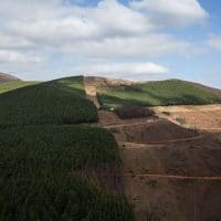 Deforestation on the geotrail of Makhonjwa Mountains near Barberton, Mpumalanga on July 3, 2018. WIKUS DE WET : AFP : GETTY IMAGES