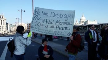 Banner on Blackfriar’s Bridge explains the severity of the situation using science. Photo Credit: Diner Ismail.