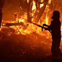 | Scorched earth capitalism climate change and Australias bushfire threat | MR Online