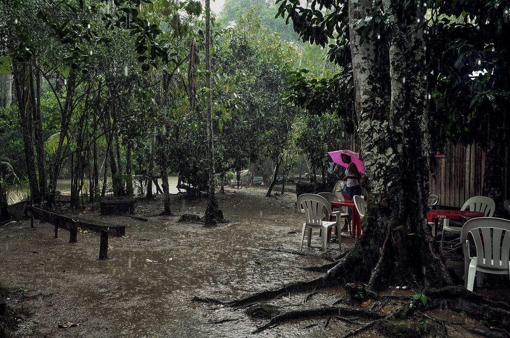 | From the series Ilha do Combú Municipality of Belém Pará one of the municipalitys 42 Islands 2014 | MR Online