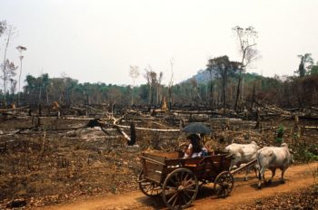 | Charred forest in Amazonia Brazil in August 1989 Since the 1930s the countrys rightwing governments have called for the settling of the rainforest in nationalist terms Photo Antonio RibeiroGammaRapho via Getty Images | MR Online