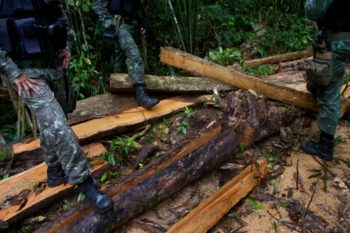 | On patrol with FUNAI and members of the UruEuWauWau environmental police take stock of the damage wrought by illegal loggers in the tribes territory in Rondônia on April 17 2018 According to the UruEuWauWau a group of 15 men with machetes can clear lines through 20 kilometers of forest in a weekPhotos Gabriel Uchida | MR Online