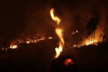 | A fire burns in highway margins in the city of Porto Velho Rondonia state part of Brazils Amazon Sunday Aug 25 2019 AP PhotoEraldo Peres | MR Online