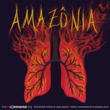 | Amazonia | MR Online