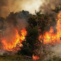 | The Amazon fires have made headlines internationally since this rainforest is one of the worlds most important natural preserves producing 20 of the oxygen we breathe Photo NASA | MR Online