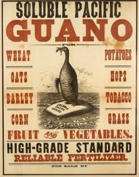 Guano poster