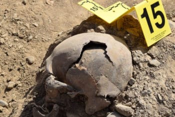 | Skull from a mass grave in DashteLeili | MR Online