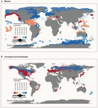 | Changes in ecosystems species richness with blue representing areas that are increasing in diversity and red and pink showing areas that are experiencing declines BLOWES ET AL SCIENCE 2019 | MR Online