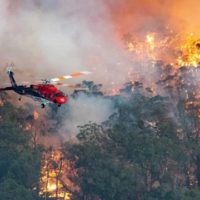 In Australia, not only forests are burning, but entire towns, and endangered and precious animal species. Photograph: State Government Of Victoria Handout/EPA