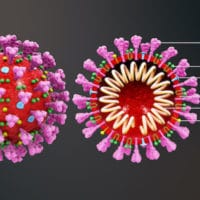 Wikimedia Commons File-3D medical animation coronavirus structure.jpg - Wikimedia