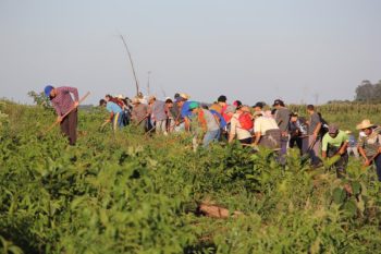 | A work collective in the Herdeiros da Terra encampment in Rio Bonito do Iguaçu Paraná where roughly 1100 landless families have occupied the land since 2014 Wellington Lenon | MR Online