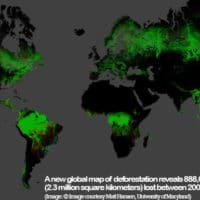 | A new global map of deforestation reveals 888000 square miles 23 million square kilometers lost between 2000 and 2012 | MR Online