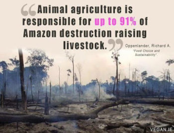 Animal Agriculture