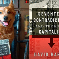 17 Contradictions and the End of Capitalism by David Harvey - Review (ft. Mad Blender)