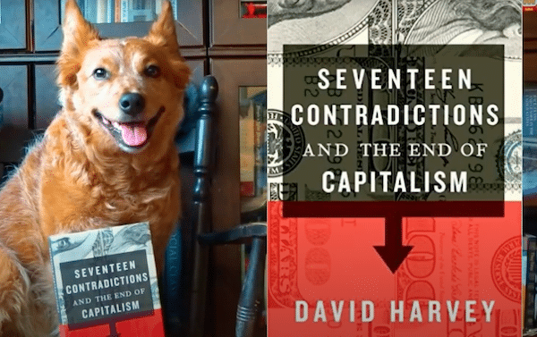  | 17 Contradictions and the End of Capitalism by David Harvey   Review ft Mad Blender | MR Online