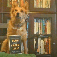 Death of the Liberal Class Review - Radical Reviewer