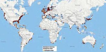 Dead Zones Industrial agriculture versus ocean life Ian Angus