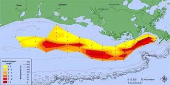 Northern Gulf of Mexico Dead Zone after Hurricane Hanna, July 2020.[1]