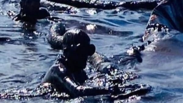 | Mauritius oil spill | MR Online
