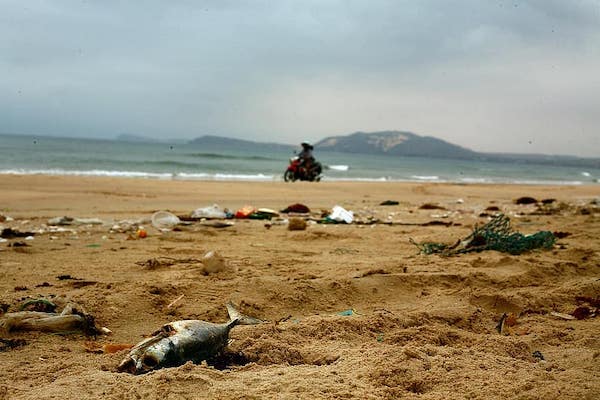 | Dead fish trash plastic ocean pollution awareness Photo Pikistcom | MR Online