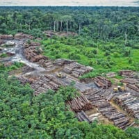  | Illegal logging on Pirititi indigenous Amazon lands Photo Flickr   quapan | MR Online