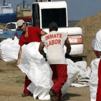 Freedom Rider: Forced Labor in the U.S.