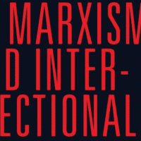 Marxism and Intersectionality: Race, Gender, Class and Sexuality under Contemporary Capitalism