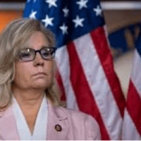 Liz Cheney [Source: trib.com]