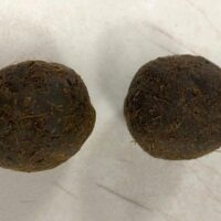 | The cow dung cakes found in a suitcase that arrived on an Air India flight at the Dulles Washington airport in the US Photo US Customs and Border Protection | MR Online