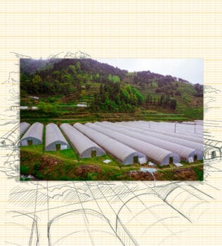 Greenhouses