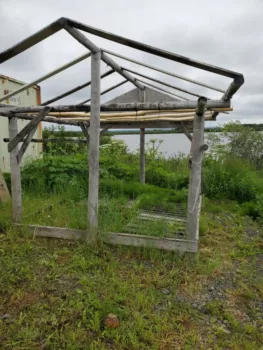 An empty fish rack in St. Marys, a village on the Yukon River, at a time of year when it would normally be packed with salmon fillets getting smoked or dried for preservation (Photo by Serena Fitka, Yukon River Drainage Fisheries Association). 2021