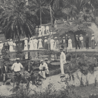 A United Fruit Company promotional for a plantation in Jamaica. Credit: Boston Webster