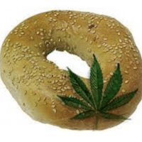 Bagels, Grapes and Marijuana: A Day in the Country