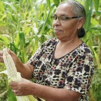 | A woman from the Matagalpas Rural Womens Cooperative of the Rural Workers Association ATC shucks corn Photo Friends of the ATC | MR Online