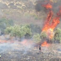 Israeli settlers have been accused of repeatedly setting fire to Burin's olive groves, such as here in 2017.