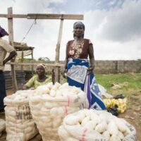 | The critical role of women in avoiding a Covid 19 food pandemic in sub Saharan Africa | CGIAR | MR Online