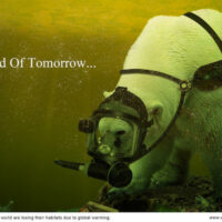 | WWF Global Warming Ad1 | MR Online