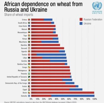 Africa wheat dependency Russia and Ukraine