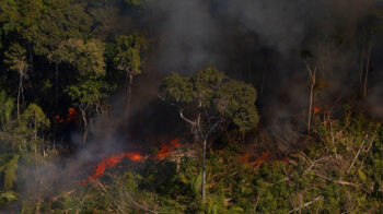 Aerial image of a wildfire near the Jacundá Flona, in Rondônia.