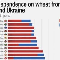 | Africa wheat dependency Russia and Ukraine | MR Online