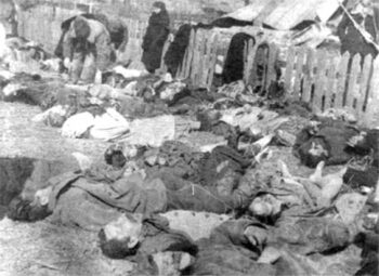 Civilian victims of a 1943 massacre by OUN fighters